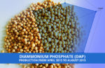 Diammonium Phosphate (DAP) Production from April 2015 to August 2015