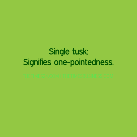 Single tusk Signifies one-pointedness.