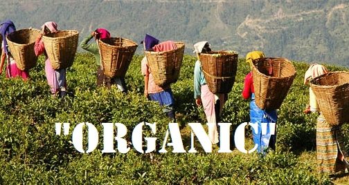 The Story Of World’s First Organic State