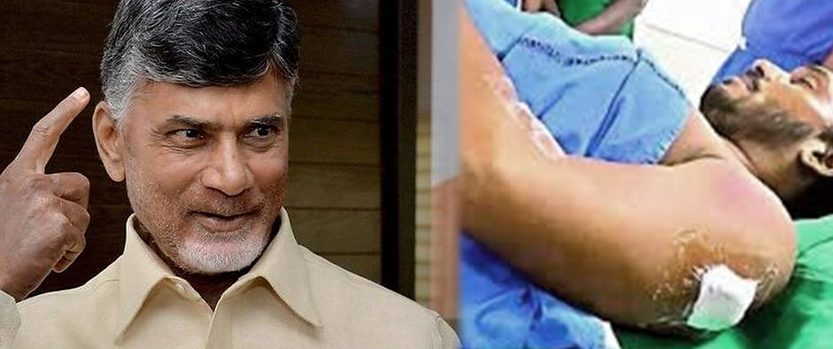 Why AP CM Naidu Received Notices From High Court?